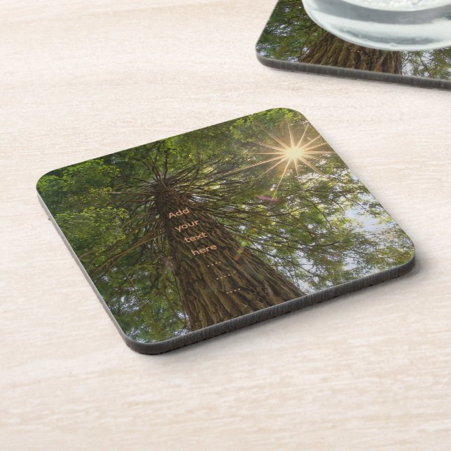 Peaceful Forest With Golden Light Photo Coaster (Left Side)