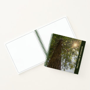 Peaceful Forest with Golden Light Photo Sketch Notebook