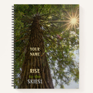 Peaceful Forest with Golden Light Sunburst Notebook