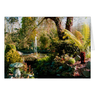 Peaceful garden in Guernsey 1