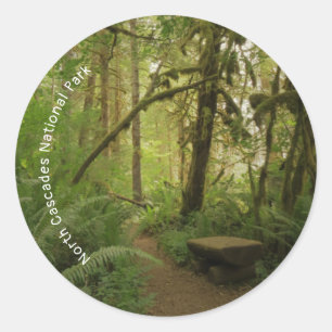 Peaceful Green Forest Trail in Washington Classic Round Sticker
