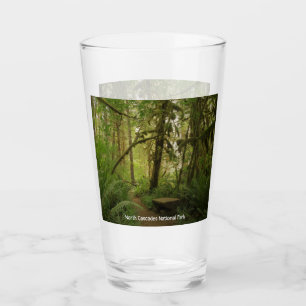 Peaceful Green Forest Trail in Washington Glass