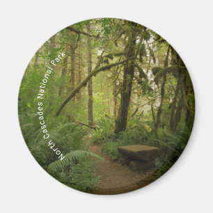 Peaceful Green Forest Trail in Washington Magnet