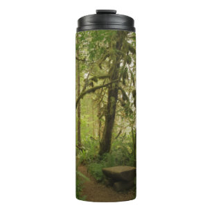 Peaceful Green Forest Trail in Washington Thermal Tumbler
