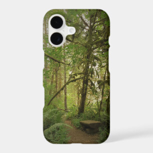 Peaceful Green Forest Trail Washington