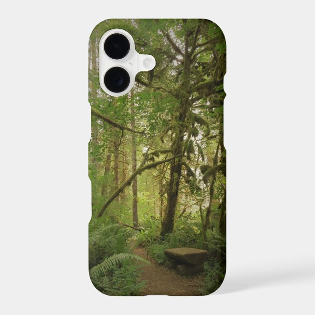 Peaceful Green Forest Trail Washington (Back)