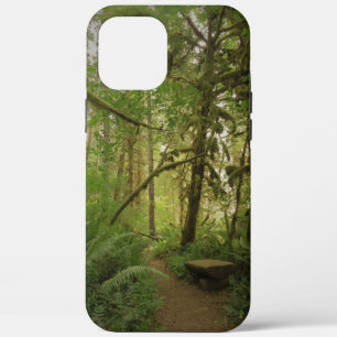 Peaceful Green Forest Trail Washington iPhone 12 Pro Max Case