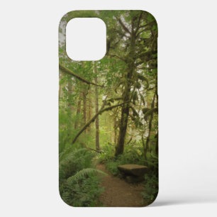 Peaceful Green Forest Trail Washington iPhone 12 Case