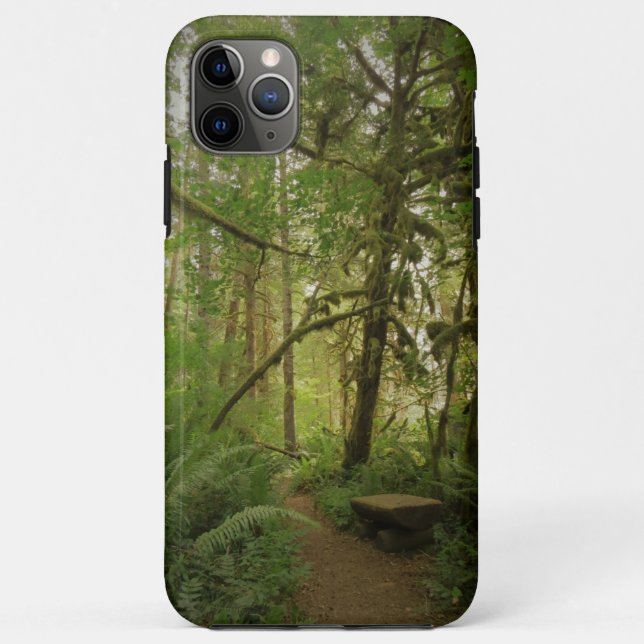 Peaceful Green Forest Trail Washington Case-Mate iPhone Case (Back)