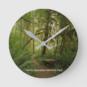 Peaceful Green Forest Trail Washington Round Clock