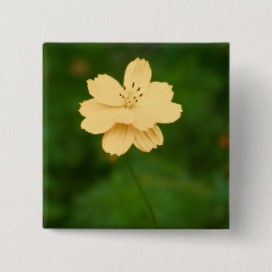 Peaceful Harmony 15 Cm Square Badge