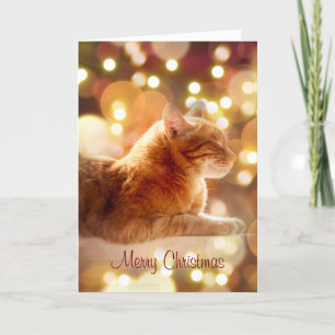 Peaceful Kitty with Christmas Lights Holiday Card