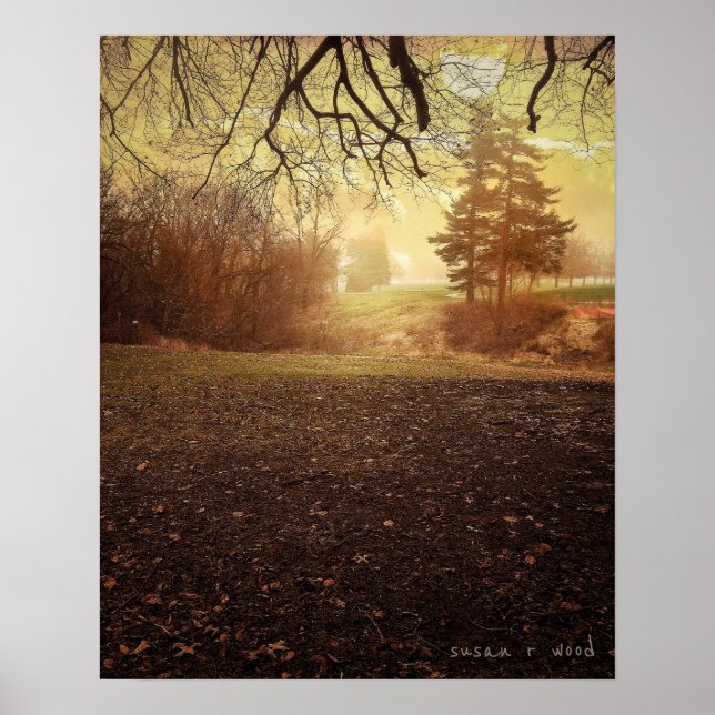 Peaceful Morning Poster Print (Front)