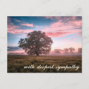 Peaceful Nature Scene Tree Sunset Sunrise Sympathy Postcard