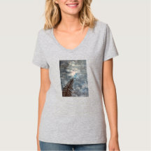 Peaceful night sky in the Forest with Stars