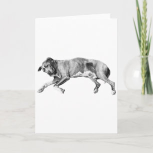 Peaceful Night, Warm Wishes Card