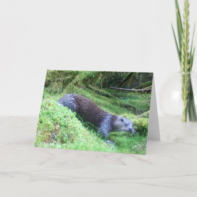 Peaceful Otter Riverside Wildlife Nature Scene Card (Front)