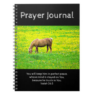 Peaceful Palomino Horse Prayer Journal