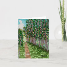 Peaceful Path through the woods