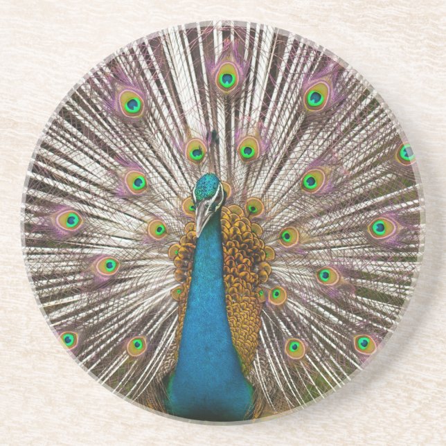 Peaceful Peacock Coaster (Front)