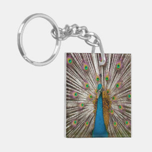 Peaceful Peacock Key Ring