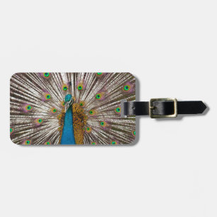 Peaceful Peacock Luggage Tag