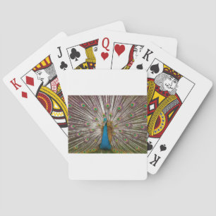 Peaceful Peacock Playing Cards