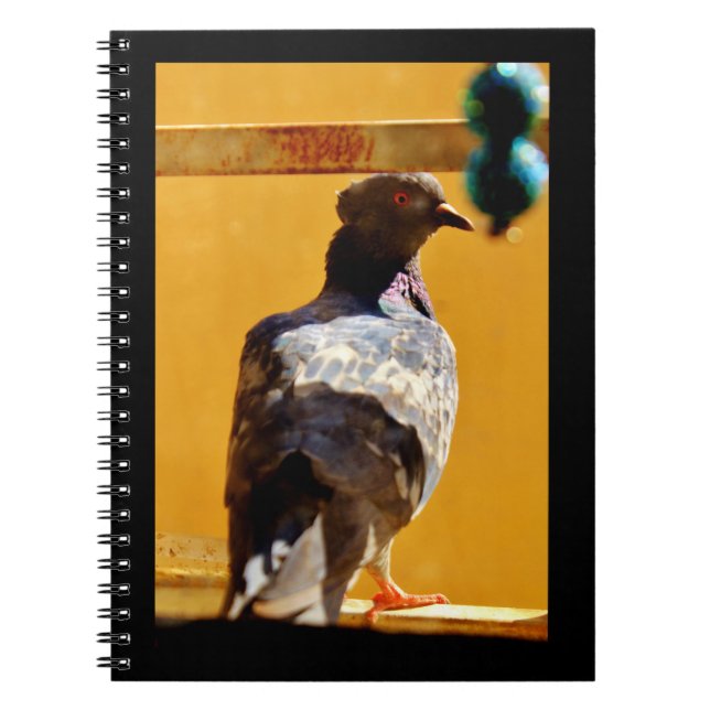Peaceful Pigeon Notebook (Front)
