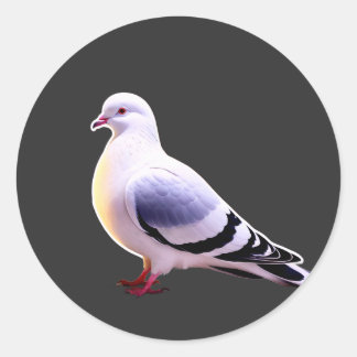 Peaceful Pigeon Serenity Classic Round Sticker