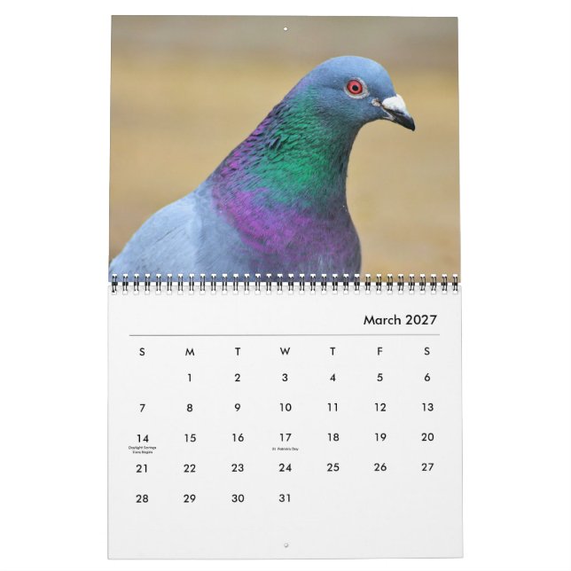 Peaceful Pigeons and Elegant Doves Nature Inspired Calendar (Mar 2027)