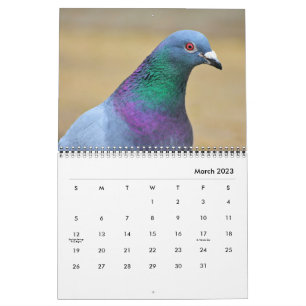 Peaceful Pigeons and Elegant Doves Nature Inspired Calendar