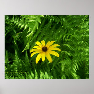 Peaceful Place Poster