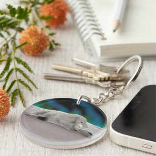 Peaceful Polar Bear Arctic Nature Illustration Key Ring