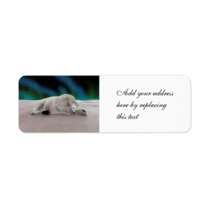 Peaceful Polar Bear Arctic Nature Illustration Return Address Label
