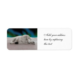 Peaceful Polar Bear Arctic Nature Illustration Return Address Label