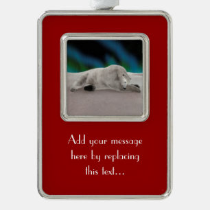 Peaceful Polar Bear Arctic Nature Illustration Silver Plated Framed Ornament