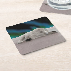 Peaceful Polar Bear Arctic Nature Illustration Square Paper Coaster