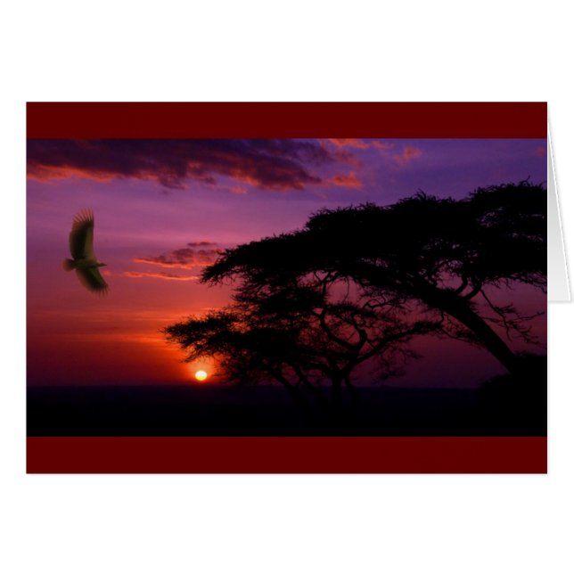 Peaceful Purple Sunset (Front Horizontal)