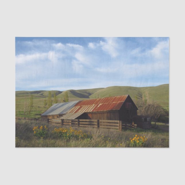 Peaceful Red and Silver Barn Amidst Sunflowers Tissue Paper (Front)