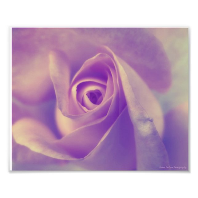 Peaceful Rest Photo Print (Front)