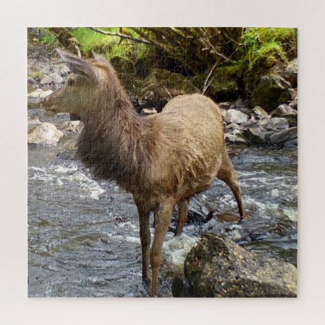 Peaceful River Scene with Young Red Deer Wildlife  Jigsaw Puzzle (Vertical)