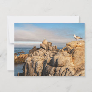 Peaceful Seascape Scenery California Postcard