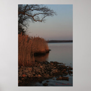 Peaceful Shore Poster