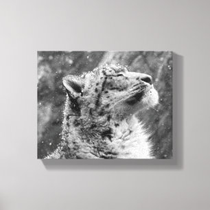 Peaceful Snow Leopard Canvas Print