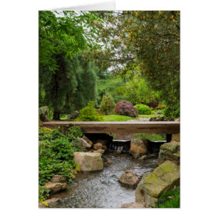 Peaceful Spring Creek
