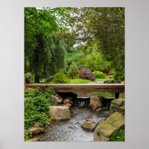 Peaceful Spring Creek Poster