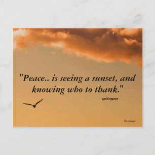 Peaceful Sunset Postcard