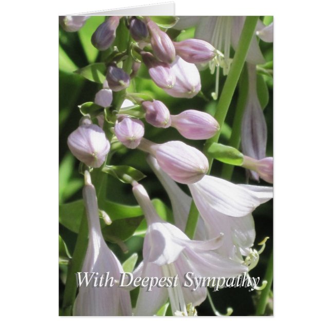 Peaceful Template Group Condolences Sympathy Card (Front)