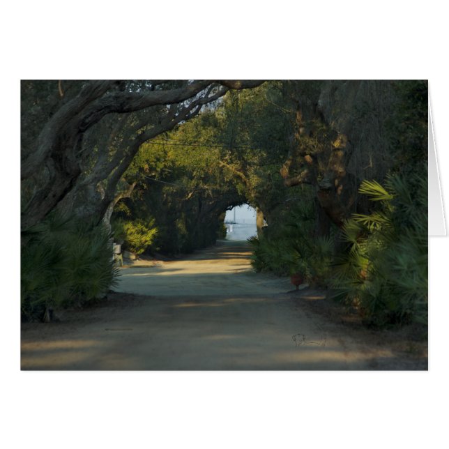 Peaceful trail (Front Horizontal)