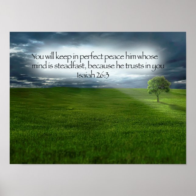 Peaceful Tree Field Blue Sky Bible Verse Poster (Front)